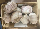 康田匯陜西2025干新鮮感大蒜現挖新蒜紫皮大蒜批發(fā)鮮蒜紅皮蒜干蒜 2-2.5斤單果40-50mm凈1.6斤 曬單實(shí)拍圖