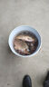 釣魚王秒粘豆鯉魚粘麻團顆粒黑坑滑口魚偷驢回鍋魚軟體顆粒魚餌紅蟲100g 曬單實拍圖