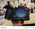 松下（Panasonic）S5 全畫(huà)幅微單/單電/無(wú)反數碼照相機 L卡口 5軸防抖 多種視頻錄制模式 雙原生ISO RAW外部錄制 S5丨單機身（不含鏡頭） 曬單實(shí)拍圖
