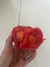 京鮮生沙瓤粉西紅柿 凈重3斤 單果100g+果菜兩吃 源頭直發(fā) 【搜生鮮館】 曬單實拍圖