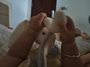澳貝（auby）嬰幼兒玩具小兔安撫巾寶寶哄睡神器阿貝貝新生兒毛絨手偶滿月禮物 曬單實(shí)拍圖