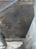 家可美水箱清洗劑汽車散熱器強力除垢劑空調(diào)散熱網(wǎng)翅片免拆除油污清潔劑 清洗液【500ML*一瓶】+負壓噴壺 曬單實拍圖