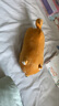名創(chuàng  )優(yōu)品（MINISO）柴犬系列毛絨公仔趴姿玩具娃娃抱枕睡覺(jué)室內臥室辦公室生日禮物 曬單實(shí)拍圖