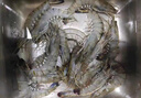 果勛海外進(jìn)口鮮凍超大號(hào)黑虎蝦凈重1.4斤30-40只/盒海鮮大蝦蝦類水產(chǎn) 曬單實(shí)拍圖