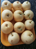 正宗河北皇冠梨 產(chǎn)地直發(fā) 現(xiàn)摘現(xiàn)發(fā) 脆甜多汁梨子整箱新鮮水果 皇冠梨凈重3斤 曬單實拍圖