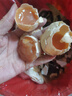 河南特產(chǎn)溏心變蛋雞蛋皮蛋農(nóng)家手工無鉛松花蛋 雞蛋變蛋40g/枚 40g 12枚【活動專享】 曬單實拍圖