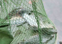 爆護(hù)先鋒】釣魚(yú)餌料四季通用野釣鯽魚(yú)鯉魚(yú)草魚(yú)野釣通殺腥香誘食劑 爆護(hù)先鋒【單包】新手也爆護(hù) 曬單實(shí)拍圖