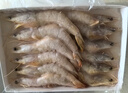 哆鮮生 活凍海捕大明蝦 野外生長(cháng)南海自主捕撈對蝦海白蝦黃蝦蝦類(lèi)生鮮 加大號 10-12條/盒 400g(凈重) 曬單實(shí)拍圖