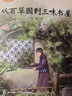 朝花夕拾+西游記（升級版） 人教版名著(zhù)閱讀課程化叢書(shū) 七年級上套裝（共3冊）與24秋新版初中語(yǔ)文教材配套使用（含微課，從教學(xué)角度講解名著(zhù)；含閱讀筆記本，提供測評指導幫助提升整本書(shū)閱讀能力） 曬單實(shí)拍圖