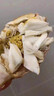 【活蟹】舟山梭子蟹鮮活特大野生活蟹生鮮大螃蟹海鮮海蟹 4-6兩/只【4斤甄選鮮肥裝】 曬單實(shí)拍圖