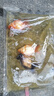云峰海瑞觀(guān)賞金魚(yú) 冷水魚(yú) 觀(guān)賞魚(yú)金魚(yú) 活體魚(yú) 淡水魚(yú)小金魚(yú)活魚(yú)錦鯉魚(yú) 【魚(yú)大更好活】金魚(yú)7-8cm5條隨機 曬單實(shí)拍圖