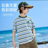 ASK JUNIOR撞色條紋兒童短袖T恤2025夏中大童男童半袖體恤打底 150  藍(lán)白條 曬單實(shí)拍圖