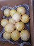 京鮮生 黃金百香果 2斤裝 約13-15粒 單果約70g 酸甜欽蜜 生鮮水果 曬單實(shí)拍圖