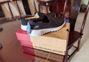 斯凱奇（SKECHERS）七夕禮物女鞋夏季透氣懶人一腳蹬健步鞋輕便軟底休閑運(yùn)動(dòng)鞋15600 曬單實(shí)拍圖
