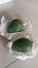 【新鮮上市】正宗攀枝花凱特芒果新鮮水果 帶箱2斤200g+ 曬單實拍圖