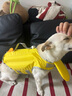 嬉皮狗（hipidog）狗狗救生衣柯基法斗金毛拉布拉多小中大型犬寵物夏季清涼游泳衣服 洛克黃【大眼萌仔救生衣】 M 體重10-20斤 曬單實(shí)拍圖