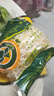 綠豆芽350g 曬單實(shí)拍圖