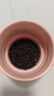 京東京造 四大紅茶500g金駿眉正山小種滇紅祁門(mén)紅茶茶葉禮盒自營(yíng) 中秋送禮 曬單實(shí)拍圖