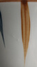賀川屋陶瓷湯碗大號10英寸家用釉下彩煲湯盆螺螄粉專(zhuān)用雙耳大碗 千葉 曬單實(shí)拍圖