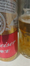 百威啤酒mini紅罐淡色拉格255ml*24聽(tīng)小罐整箱裝濃郁麥香 七夕送禮  曬單實(shí)拍圖