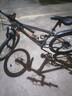 RALEIGH蘭令山地自行車成人男女變速青少年中小學(xué)生車越野戶外騎行賽單車 【高碳鋼】R780-輻條輪-騎士灰 24寸輪組 （適合140-170cm） 21速入門版 曬單實(shí)拍圖