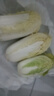 云南高山娃娃菜新鮮當(dāng)季娃娃菜3顆裝新鮮蔬菜生鮮 新鮮娃娃菜1*(3棵)*1包 曬單實(shí)拍圖