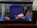喜高超白玻璃魚(yú)缸智能魚(yú)缸免換水小型客廳水族箱一體式過(guò)濾氧氣魚(yú)缸 黑色-魚(yú)缸標配 380*210*245mm 曬單實(shí)拍圖