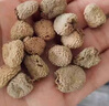 正品覆盆子茶中草藥材干鮮果野生泡水棚桑葚茶復(fù)盆子盤官方旗艦店 【各大堅(jiān)實(shí)】覆盆子袋裝100g 曬單實(shí)拍圖