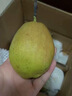 京鮮生 新疆庫爾勒香梨 凈重5斤 單果100g-120g 新鮮水果 源頭直發(fā) 曬單實(shí)拍圖