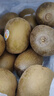 佳沛（zespri）新西蘭陽光金奇異果原箱 16粒巨無霸 單果重約202-230g   獼猴桃 曬單實拍圖