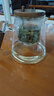 TEAHUE飄逸杯玻璃茶壺泡茶神器茶壺飄逸泡茶壺茶水分離泡茶杯功夫茶具 曬單實(shí)拍圖