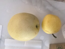 正宗河北皇冠梨 產(chǎn)地直發(fā) 現(xiàn)摘現(xiàn)發(fā) 脆甜多汁梨子整箱新鮮水果 皇冠梨凈重3斤 曬單實拍圖