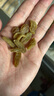 樓蘭蜜語(yǔ)大顆綠香妃葡萄干280g/罐  香妃葡萄干系列 零食 蜜餞果干 葡萄  曬單實(shí)拍圖