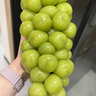 京鮮生 陽(yáng)光玫瑰青提2.8-3.2斤裝 單果10g 葡萄/提子生鮮水果 源頭直發(fā) 曬單實(shí)拍圖