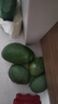 三亞芒果  海南芒果新鮮水果生鮮整箱當(dāng)季大青皮芒 熱帶孕婦芒果 10斤裝(凈果8.5-9斤)單果300g+ 曬單實(shí)拍圖