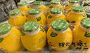 金豆芽兒童金銀花柚子汁155ml*16瓶禮盒夏天孩子飲料寶寶零食果汁西柚汁 曬單實拍圖