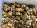 土地母親計劃 雅江松茸菌未開傘新鮮松茸鮮菌菇冷鏈空運現(xiàn)貨快至24H達團購送禮 出口級未開傘 5-5.8cm 凈重500g 曬單實拍圖