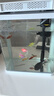 寵街坊小魚缸一體缸自循環(huán)水族箱桌面客廳小型送禮生態(tài)魚缸造景240 曬單實(shí)拍圖