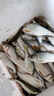 趣玲瓏鐵板路亞餌遠(yuǎn)投釣鱸魚翹嘴鱖魚專用假餌vib亮片海水淡水殺 7克鐳射黑背[1祇裝] 曬單實(shí)拍圖