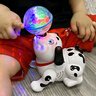 糜嵐練抬頭玩具新生兒嬰幼兒0-3-6三四個月小孩8小月齡寶寶哄娃神器玩 旋轉(zhuǎn)小狗+充電套裝 曬單實拍圖