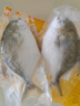 恒興食品 原條金鯧魚2斤 4條裝 BAP認(rèn)證海鮮生鮮深海魚火鍋食材  曬單實(shí)拍圖