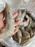 鼠大皇厄瓜多爾白蝦  鮮活冷凍大蝦 生鮮鹽凍大蝦青蝦 特大號20-30大蝦 2030特大號 3斤(凈重)  【只只分離】 曬單實(shí)拍圖
