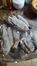 微山湖野生鯽魚土漁民捕撈活魚現(xiàn)殺凈膛滋補(bǔ)燉湯400g/袋 中號(hào)【4-6條/400g】400g*3袋 曬單實(shí)拍圖