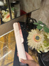 戴森（DYSON）【七夕節(jié)禮物】Airstrait HT01 吹風(fēng)直發(fā)器 干發(fā)直發(fā)二合一 利用氣流輕松造型 吹風(fēng)機 直板夾 夾板 落日玫瑰色 曬單實拍圖