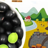 硃碌科 有機(jī)黑豆 東北綠芯黑豆黑大豆3斤 打豆?jié){雜糧豆無染色東北雜糧豆 曬單實(shí)拍圖
