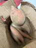 【頭茬-粉糯】正宗山東煙薯爆甜新鮮香甜現(xiàn)挖番薯蔬菜水果 普通裝單個(gè)100g+ 3斤帶箱 凈重2.5斤 曬單實(shí)拍圖