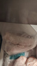 龍大肉食 山東發(fā)貨 帶皮后腿肉片凈重4斤 免處理燒烤食材 豬肉片 源頭直發(fā) 曬單實(shí)拍圖
