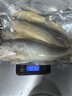 冰鮮部族大黃花魚(yú) 深海大黃魚(yú)海捕活凍鮮活大海魚(yú)鮮海鮮水產(chǎn) 【深海大黃花魚(yú)250g*4條】2斤裝 曬單實(shí)拍圖