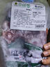 邊塞風(fēng)寧夏鹽池灘羊肉羔羊蝎子 凈重2斤 原切冷凍羊蝎火鍋食材寧夏地標 曬單實(shí)拍圖