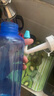 樂(lè)儀（leyi）洗鼻器成人兒童鼻炎鼻腔沖洗器生理鹽水清洗鼻壺500ml共90包鹽 曬單實(shí)拍圖